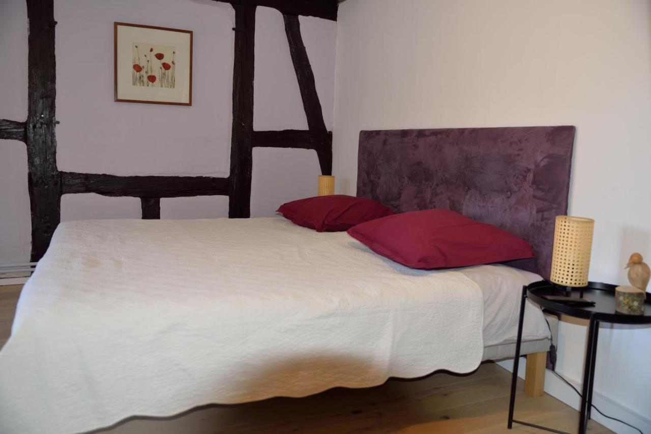 Chez Cecile Bed And Breakfast Chez Le Vigneron Colmar Zewnętrze zdjęcie